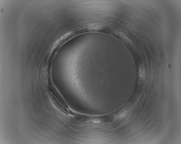 X0000058780492200510031024