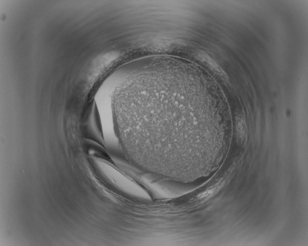 X0000058780493200510031024