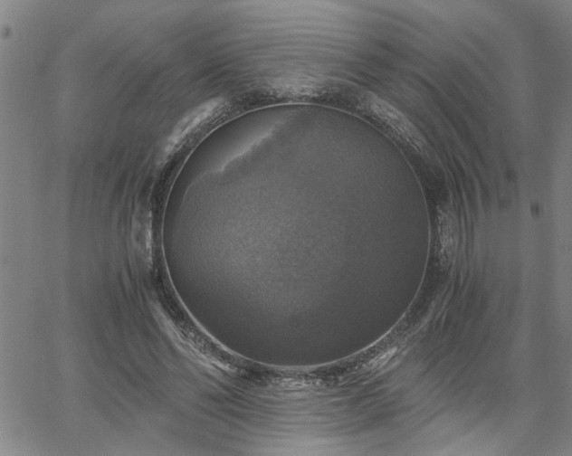 X0000058780494200510031024