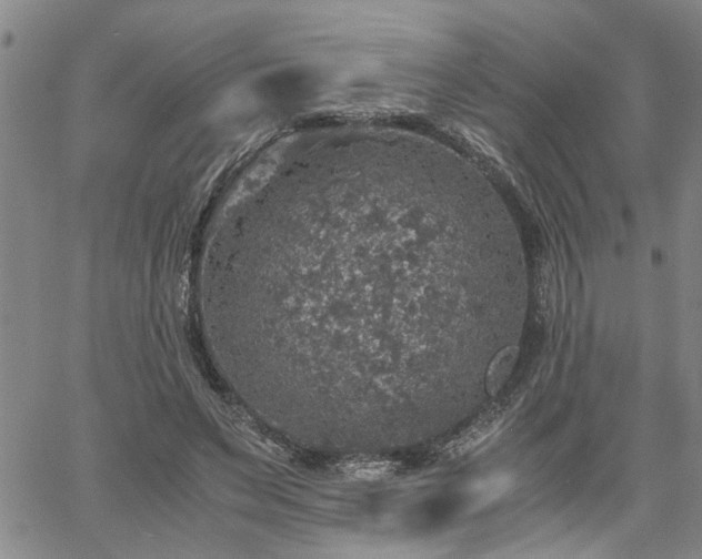 X0000058780495200510031024