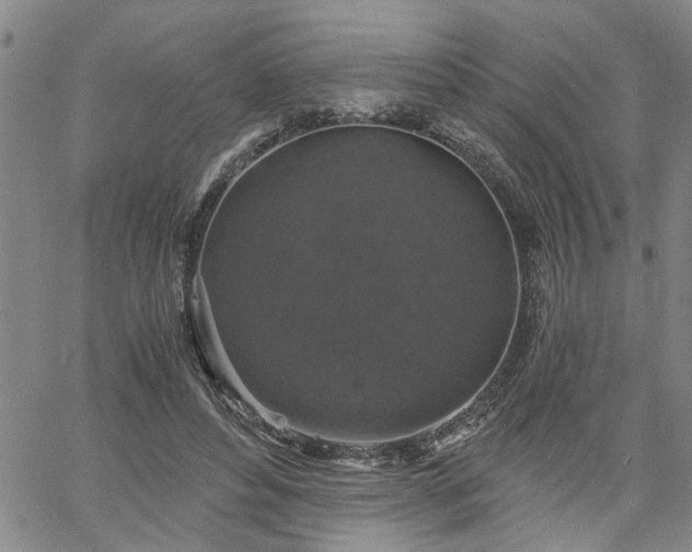 X0000058780496200510031024