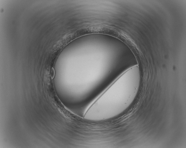 X0000058780497200510031024