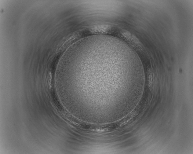 X0000058780498200510031024