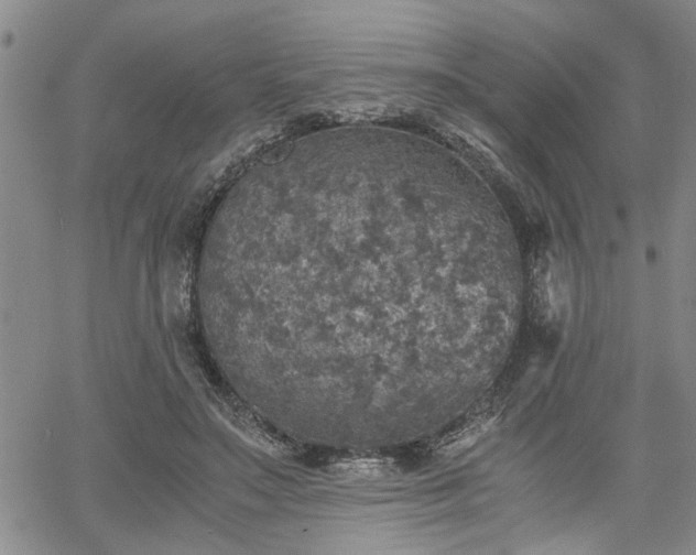 X0000058780499200510031024