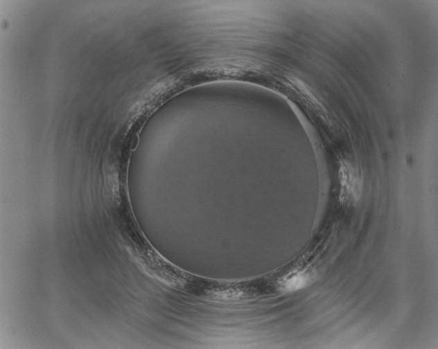 X0000058780500200510031024