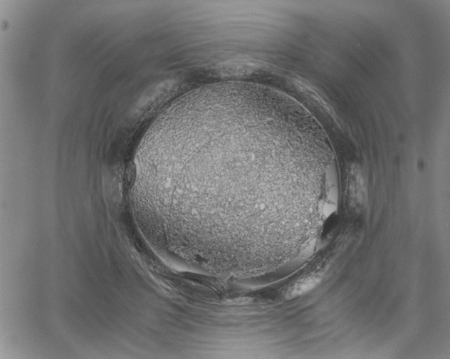 X0000058780501200510031024