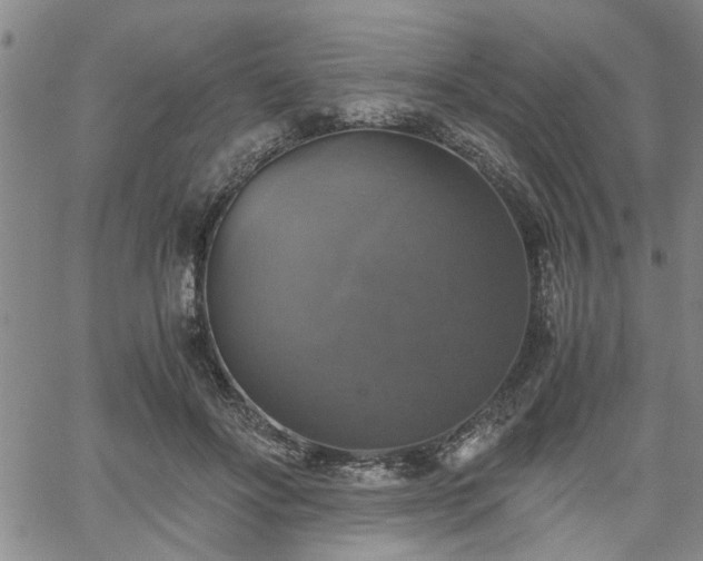 X0000058780502200510031024