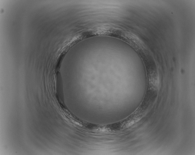 X0000058780503200510031024