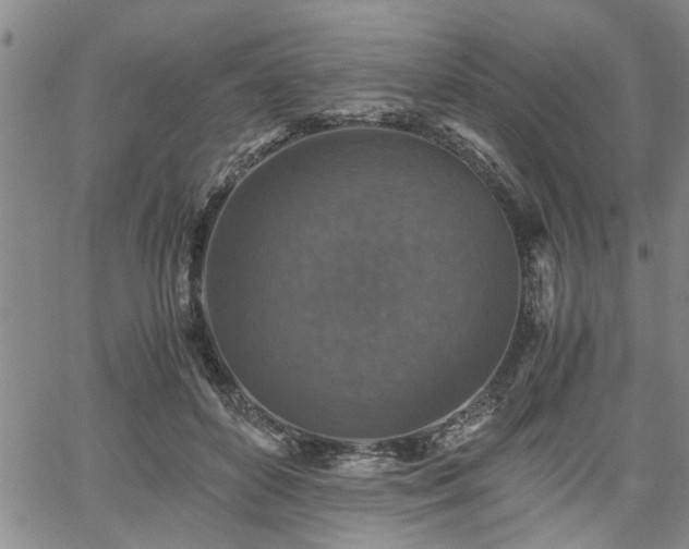 X0000058780504200510031023