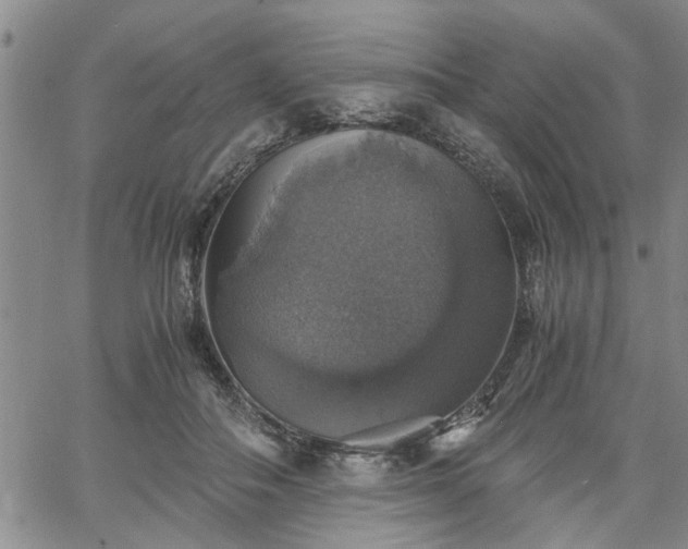 X0000058780506200510031023