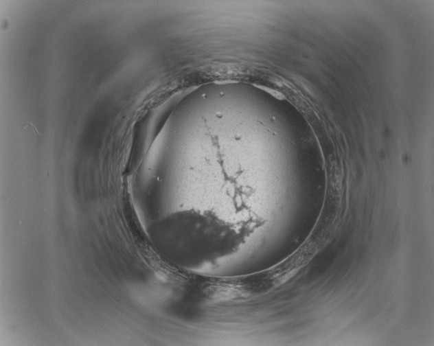 X0000058780507200510031023