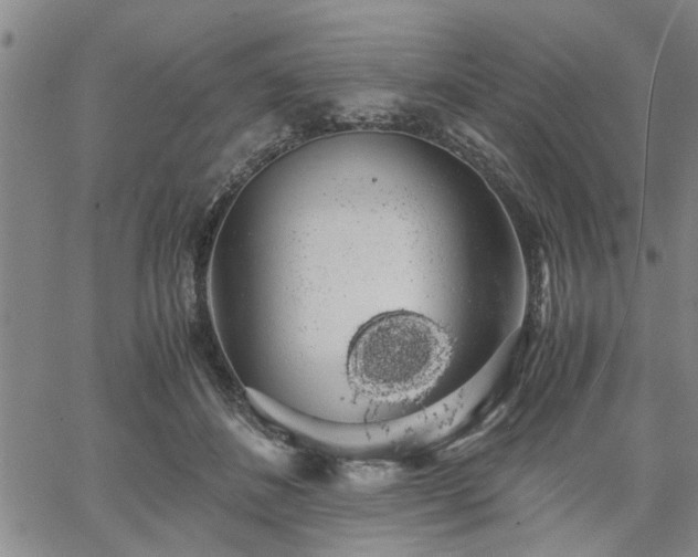 X0000058780508200510031023