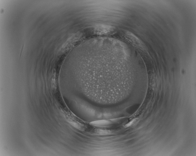 X0000058780510200510031023