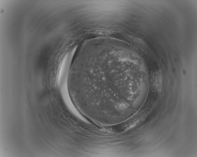 X0000058780511200510031023