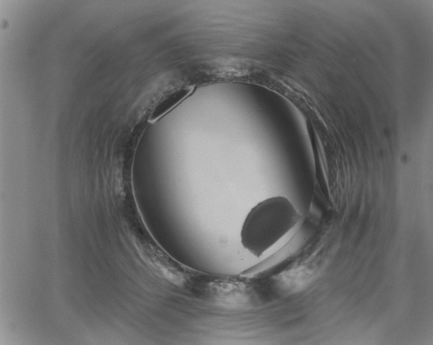 X0000058780512200510031023