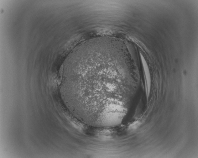 X0000058780513200510031023