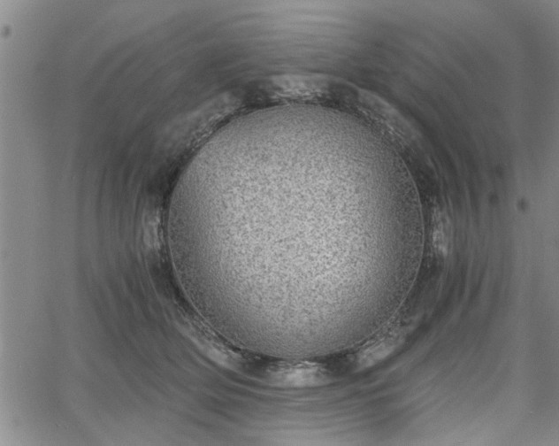 X0000058780514200510031023