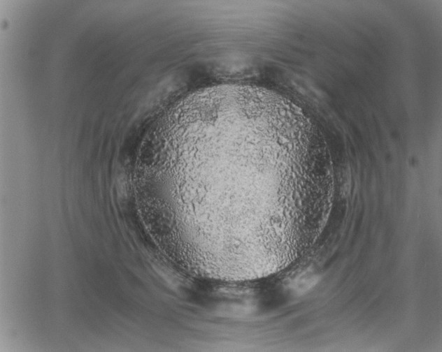 X0000058780515200510031023