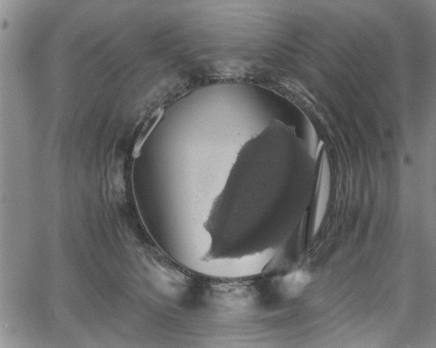 X0000058780516200510031023