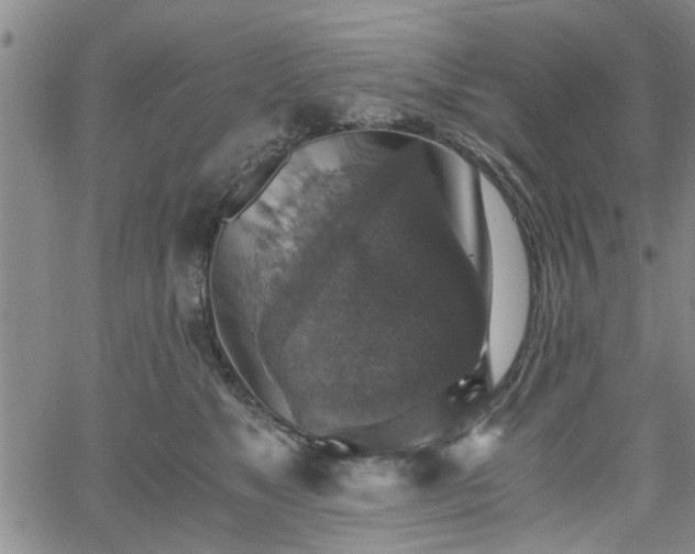 X0000058780517200510031023