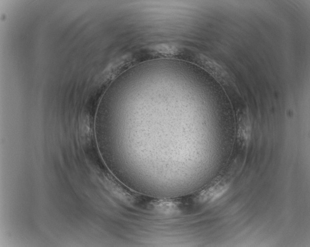 X0000058780518200510031023