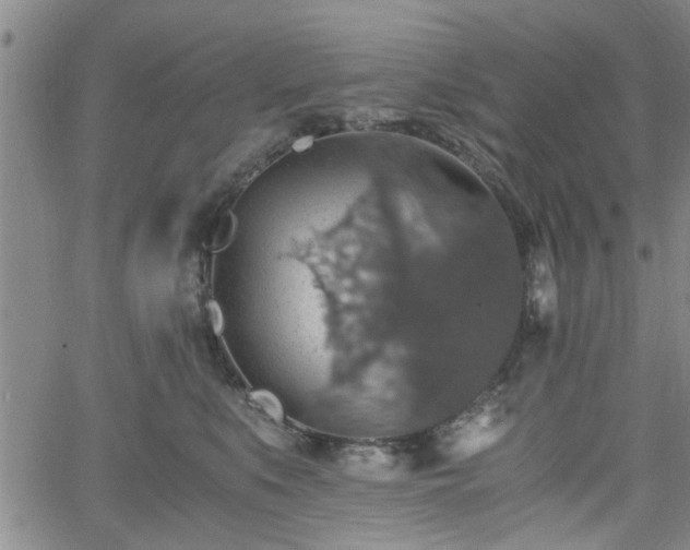 X0000058780519200510031023