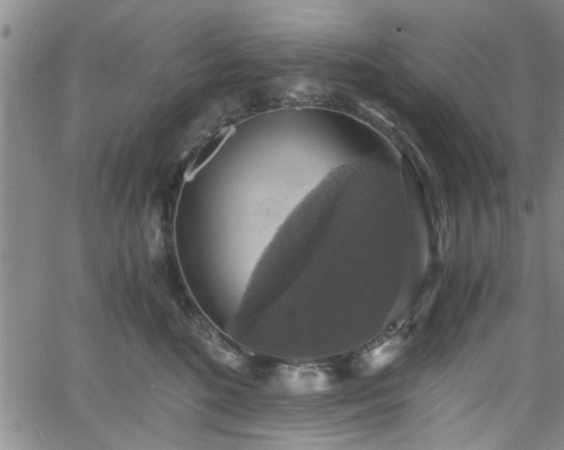 X0000058780520200510031023