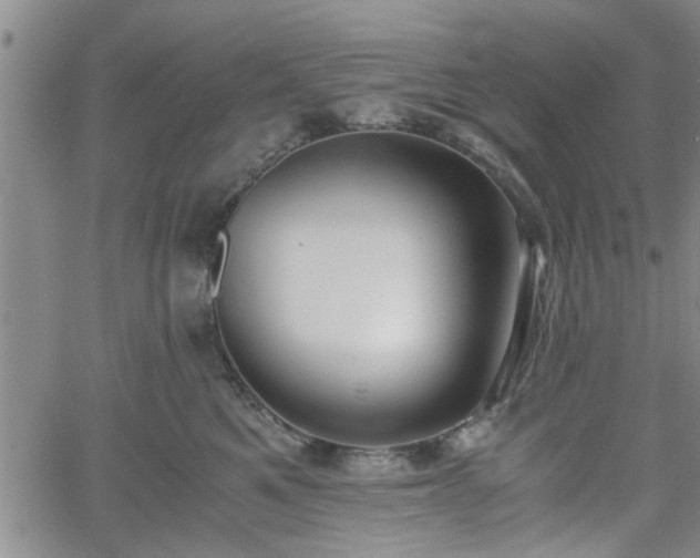 X0000058780521200510031023