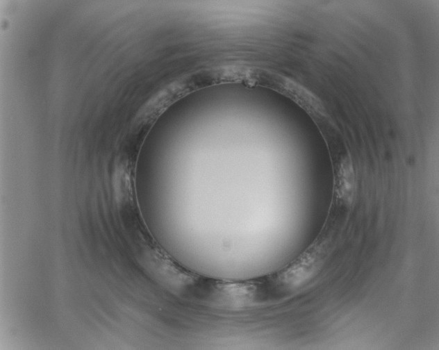 X0000058780522200510031023