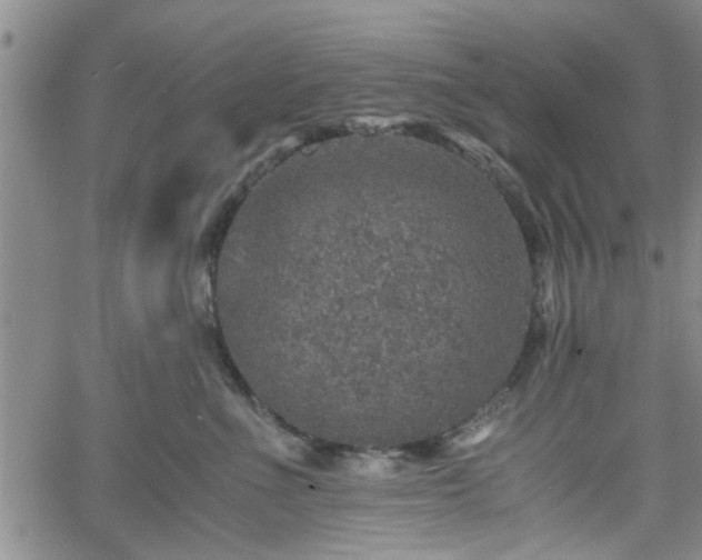 X0000058780523200510031023