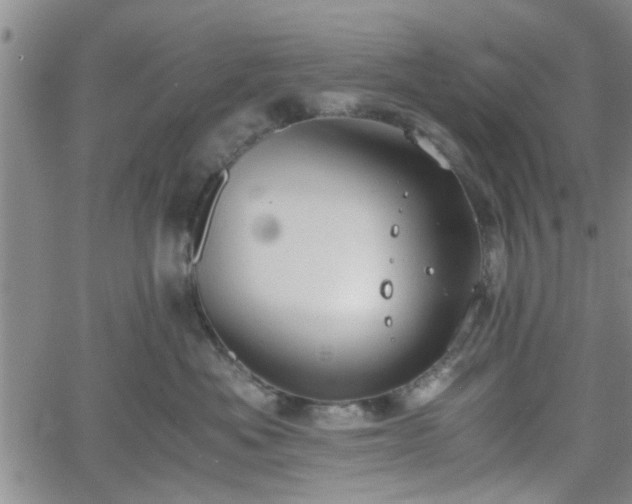 X0000058780525200510031023