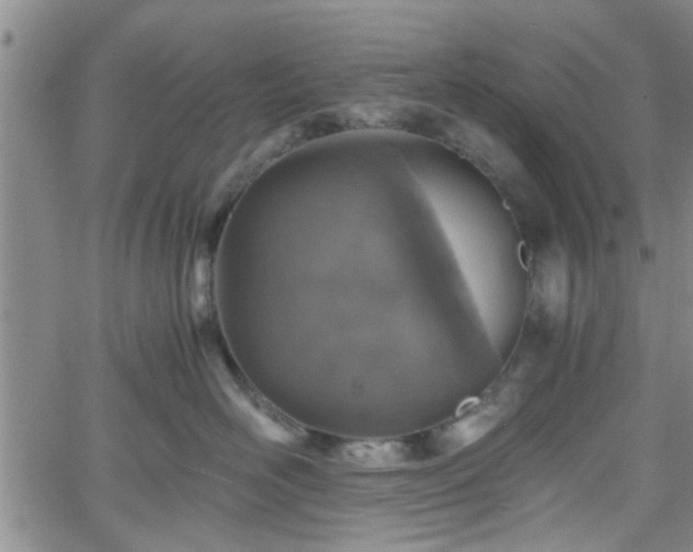 X0000058780526200510031023