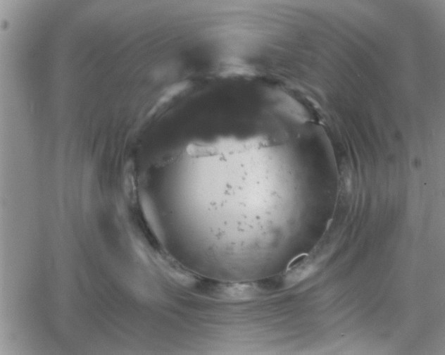 X0000058780527200510031023