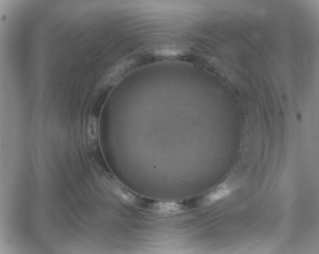 X0000058780528200510031023