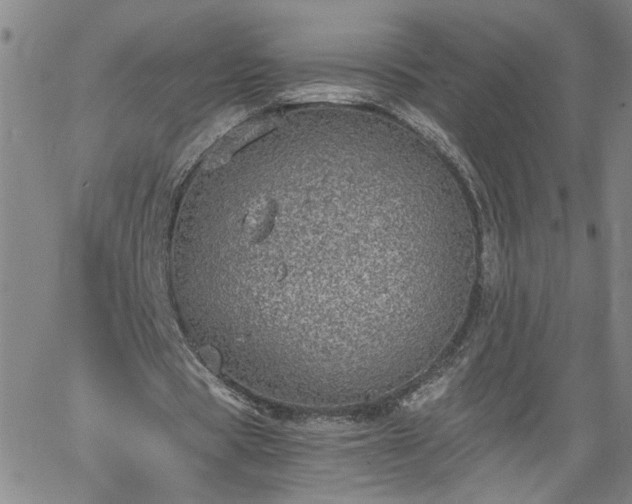 X0000058780529200510031022