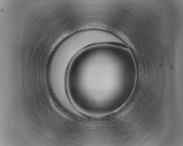 X0000058780530200510031022