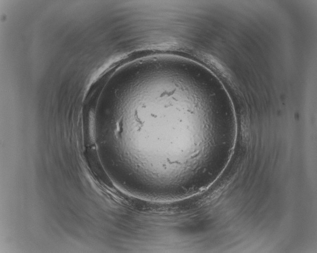 X0000058780532200510031022