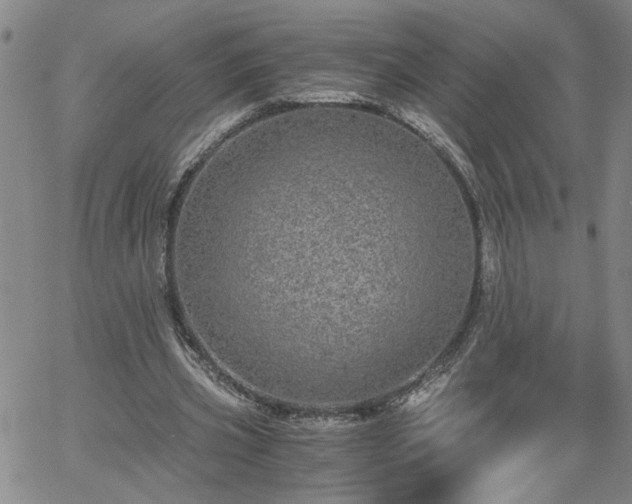 X0000058780533200510031022