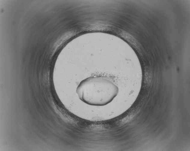 X0000058780534200510031022