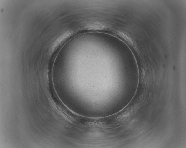 X0000058780535200510031022