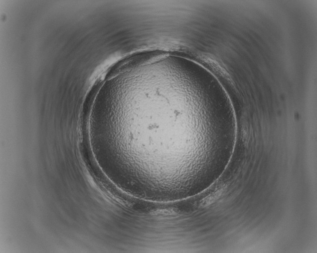 X0000058780536200510031022