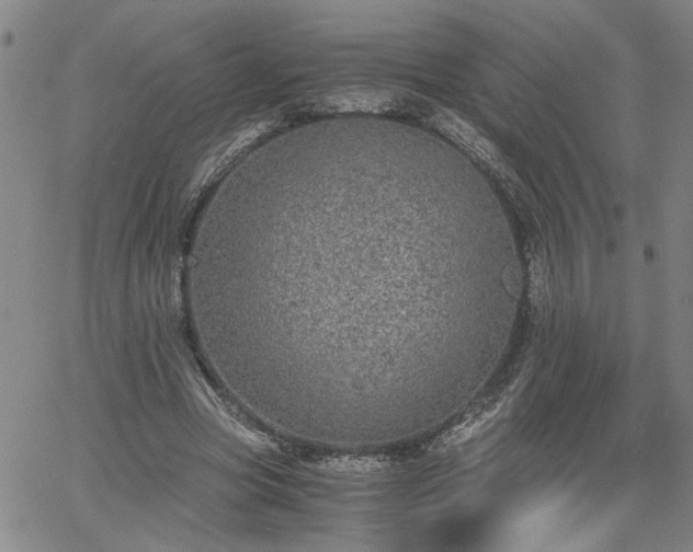 X0000058780537200510031022