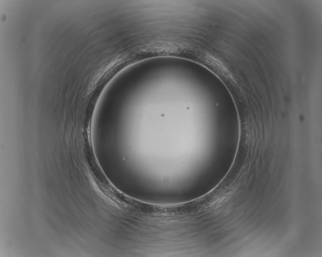 X0000058780538200510031022