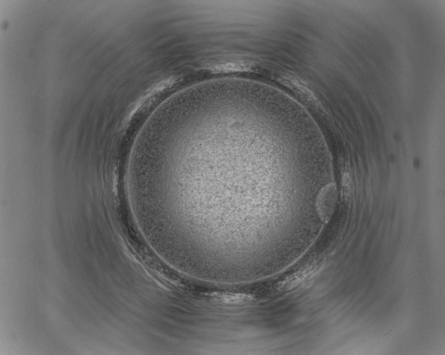 X0000058780539200510031022