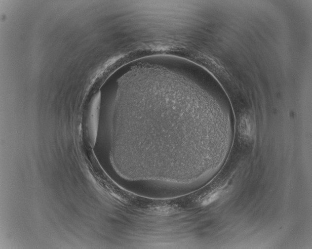 X0000058780540200510031022