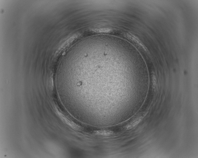 X0000058780541200510031022