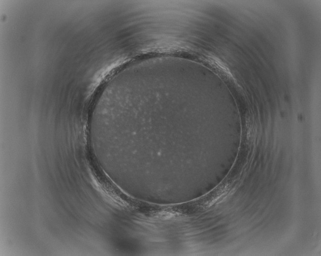 X0000058780542200510031022