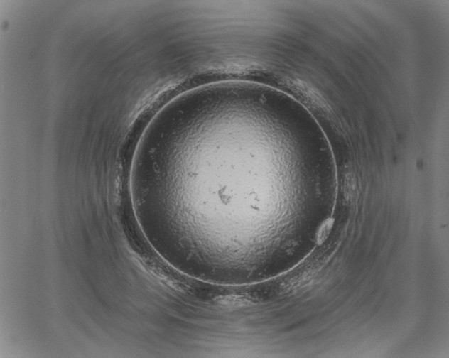 X0000058780544200510031023