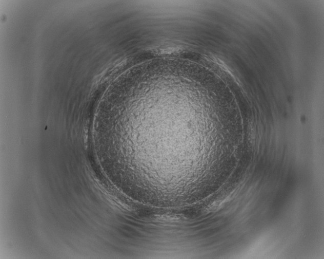 X0000058780545200510031023