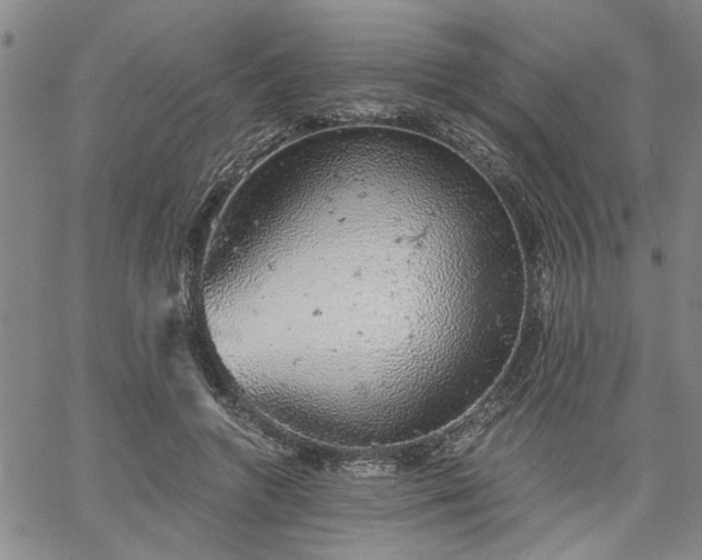 X0000058780546200510031023